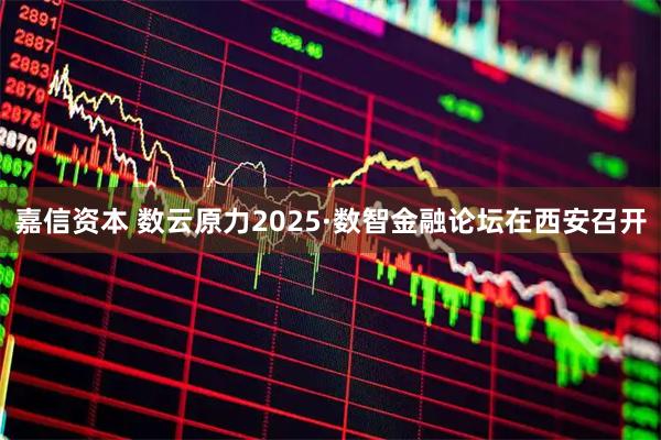 嘉信资本 数云原力2025·数智金融论坛在西安召开