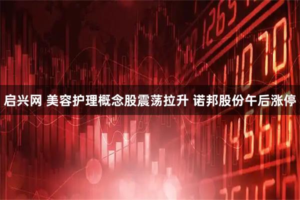 启兴网 美容护理概念股震荡拉升 诺邦股份午后涨停