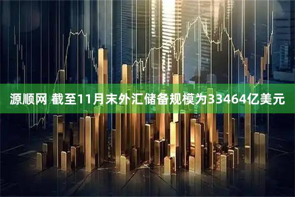 源顺网 截至11月末外汇储备规模为33464亿美元