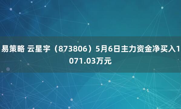 易策略 云星宇（873806）5月6日主力资金净买入1071.03万元