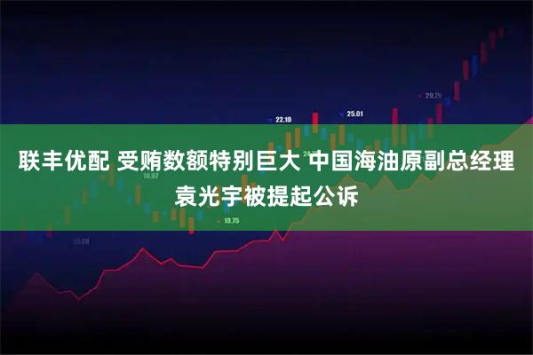 联丰优配 受贿数额特别巨大 中国海油原副总经理袁光宇被提起公诉