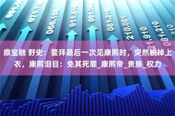 鼎宝融 野史:鳌拜最后一次见康熙时,突然脱掉上衣,康熙泪目:免其死罪_康熙帝_贵族_权力